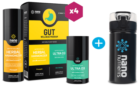 12 Week Gut Health Program HP AU (Pineapple)