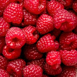Raspberry (Flavor dependent)