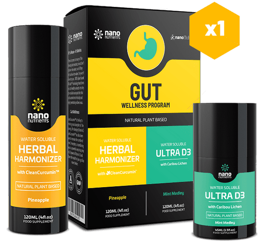 USA_2 Week Gut Health Program HP US (Pineapple)