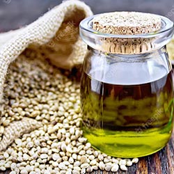 Hemp Seed Oil