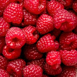 Raspberry (Flavor dependent)