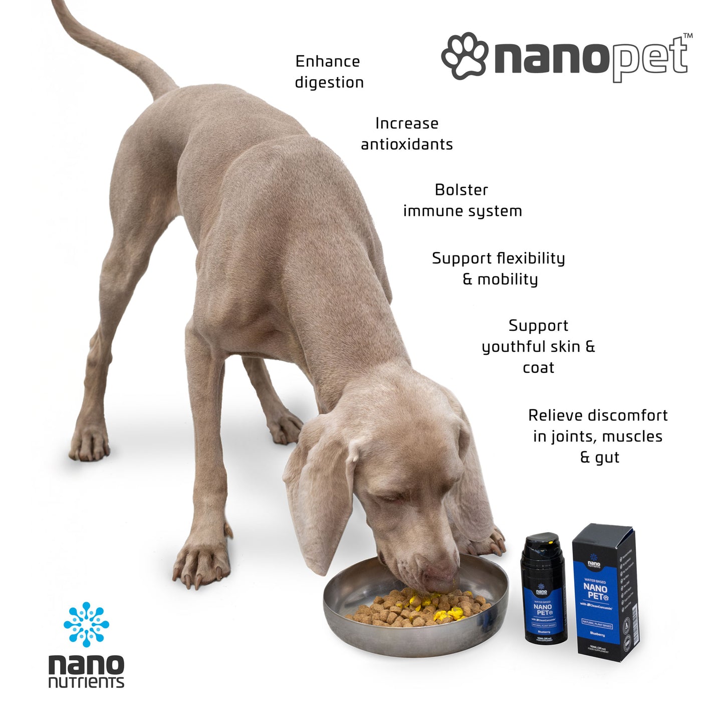 NanoPet with CleanCurcumin™ 5 Pack