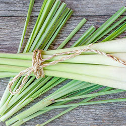 Lemongrass