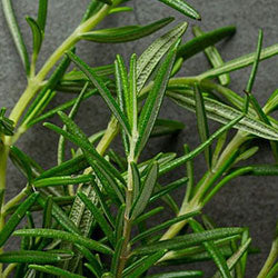 Carnosic + Ursolic Acid