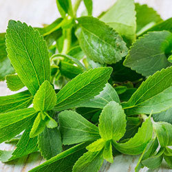 Stevia