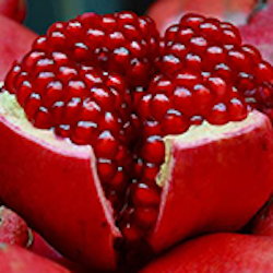 Pomegranate seed